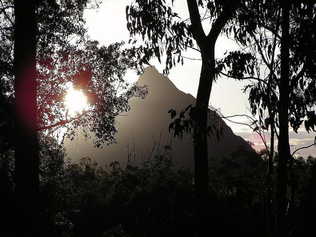 Glass House Mountains Ecolodge Εξωτερικό φωτογραφία