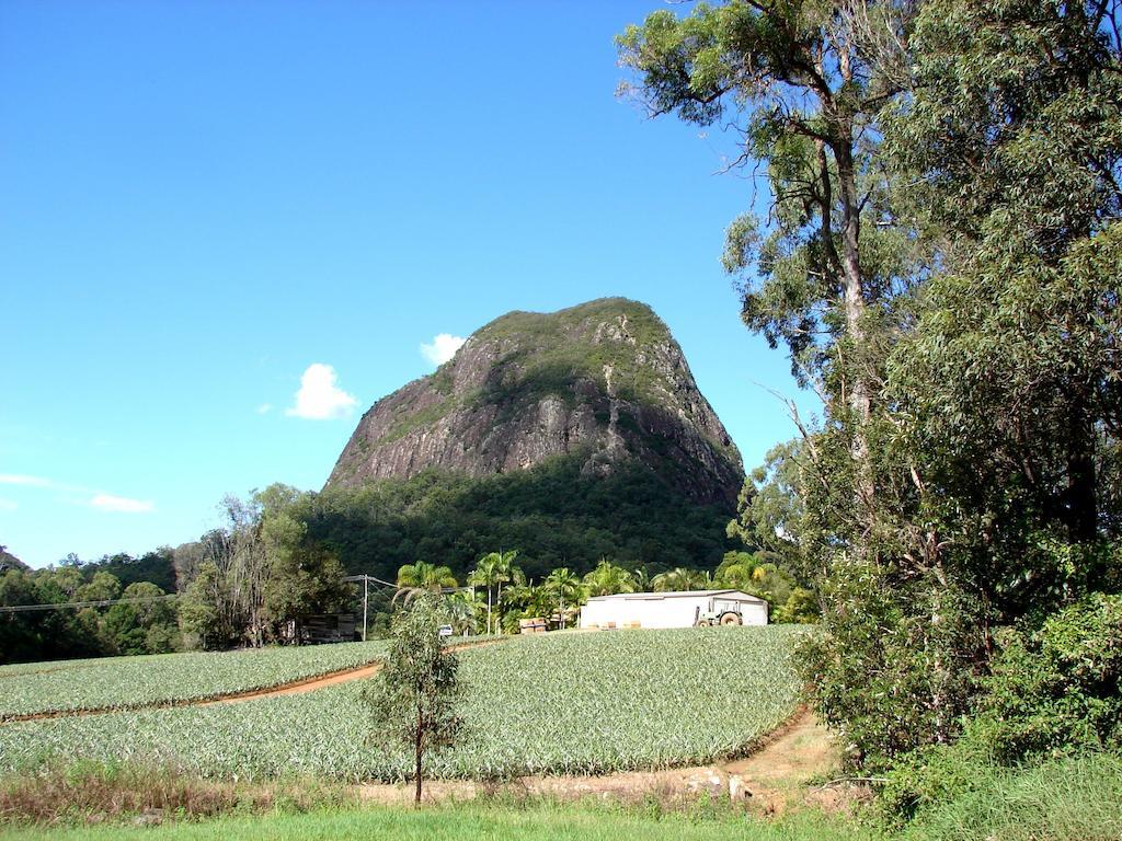 Glass House Mountains Ecolodge Εξωτερικό φωτογραφία
